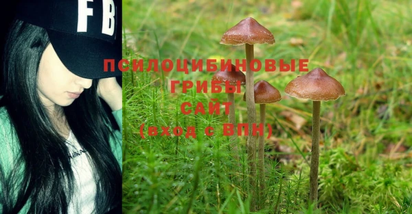 MESCALINE Магадан
