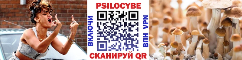 Купить закладки  Оса  Псилоцибиновые грибы Psilocybe 